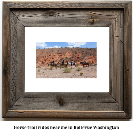 horse trail rides near me in Bellevue, Washington